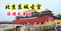 同桌的白虎穴中国北京-东城古宫旅游风景区